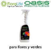 PULVERIZADOR OASIS 1L FINISHING TOUCH
